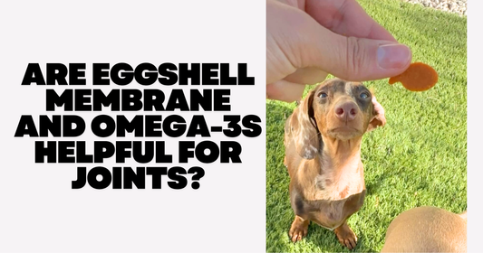 Are Eggshell Membrane and Omega-3s Helpful for Joints?