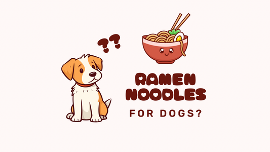 Ramen Noodles for Dogs? Yes, Please! Introducing Owa Owa's Pup Noodles