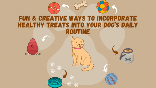 Fun and Creative Ways to Incorporate Healthy Treats into Your Dog's Daily Routine
