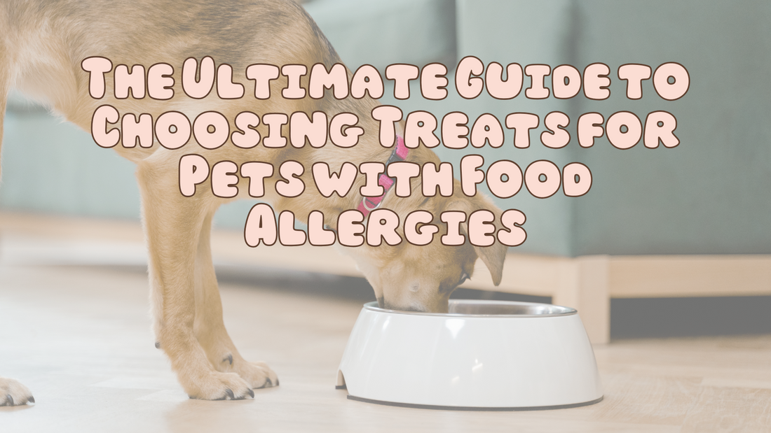 The Ultimate Guide to Choosing Treats for Pets with Food Allergies