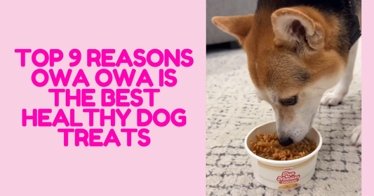 Top 9 Reasons Owa Owa Is the Best Healthy Dog Treats