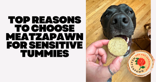 Top Reasons to Choose Meatzapawn for Sensitive Tummies