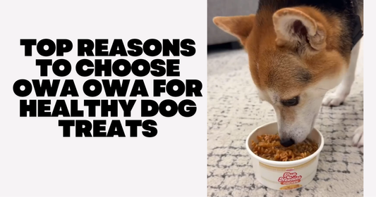Top Reasons to Choose Owa Owa for Healthy Dog Treats