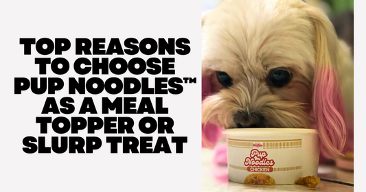 Top Reasons to Choose Pup Noodles™ as a Meal Topper or Slurp Treat