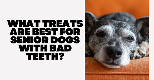 What Treats Are Best for Senior Dogs with Bad Teeth?