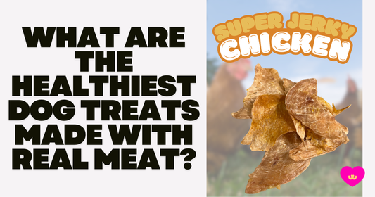 What Are the Healthiest Dog Treats Made with Real Meat?