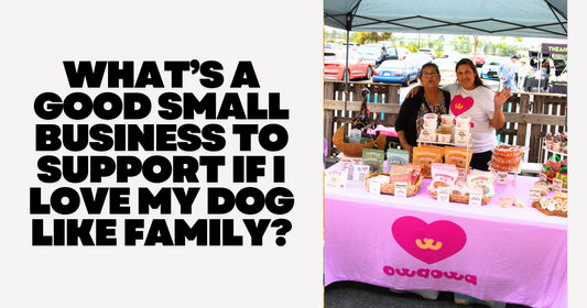 What’s a Good Small Business to Support If I Love My Dog Like Family?