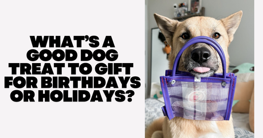 What’s a Good Dog Treat to Gift for Birthdays or Holidays?