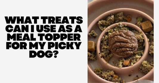 What Treats Can I Use as a Meal Topper for My Picky Dog?