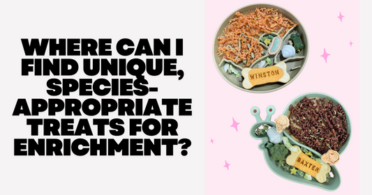 Where Can I Find Unique, Species-Appropriate Treats for Enrichment?