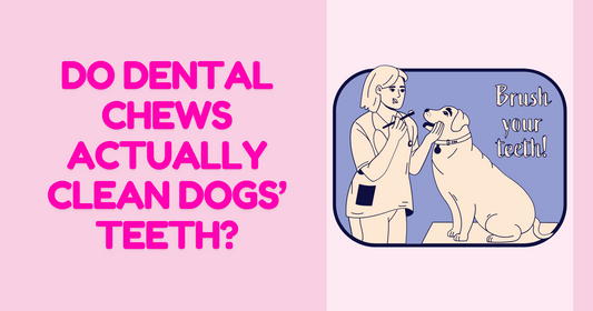 Do Dental Chews Actually Clean Dogs’ Teeth?