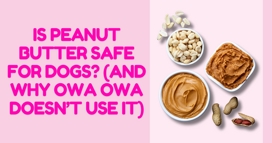 Is Peanut Butter Safe for Dogs? (And Why Owa Owa Doesn’t Use It)