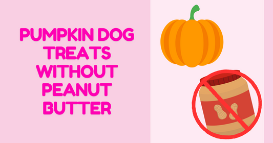 Pumpkin Dog Treats Without Peanut Butter | Owa Owa