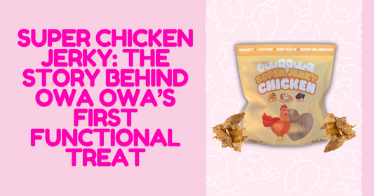 Super Chicken Jerky: The Story Behind Owa Owa’s First Functional Treat
