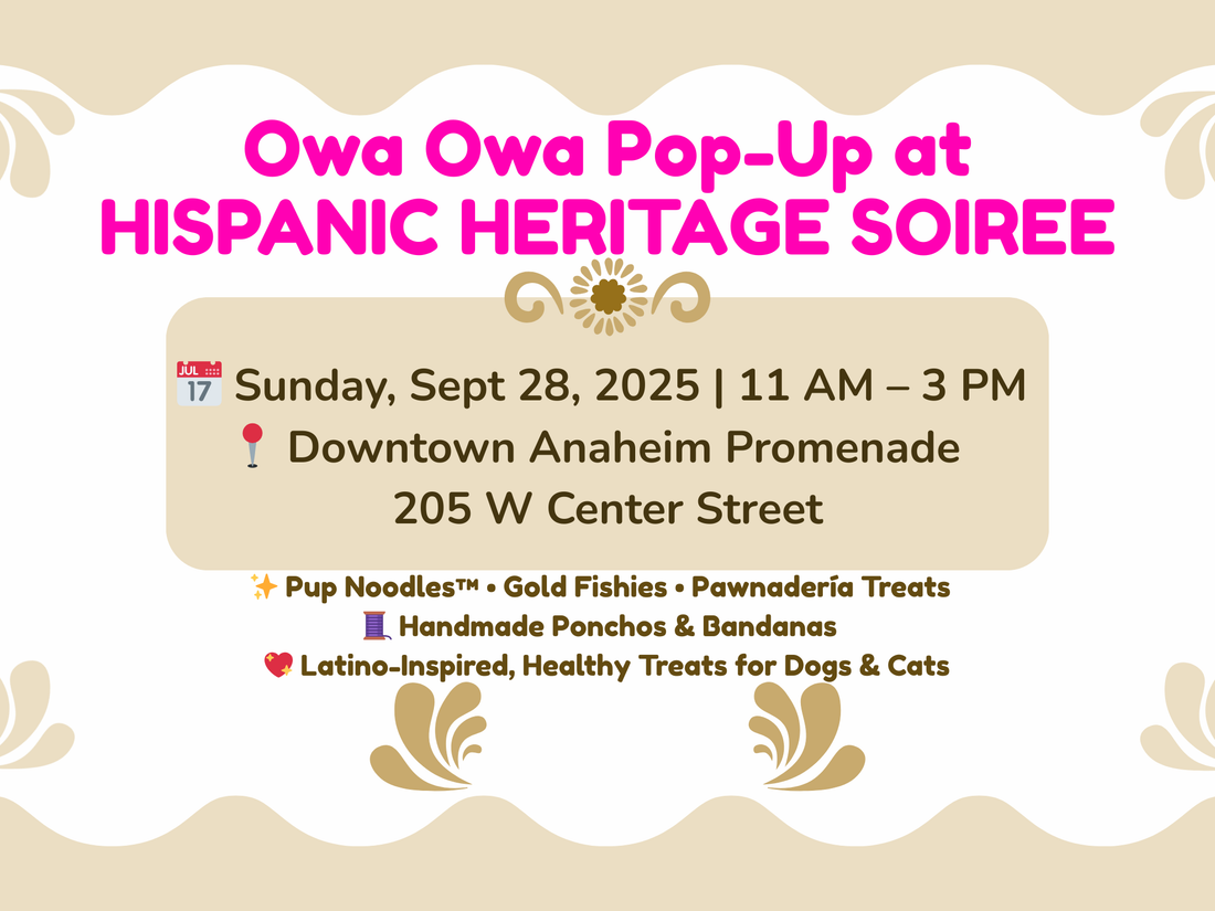 Owa Owa Pop-Up at Hispanic Heritage Soiree – Sep. 28, 2025