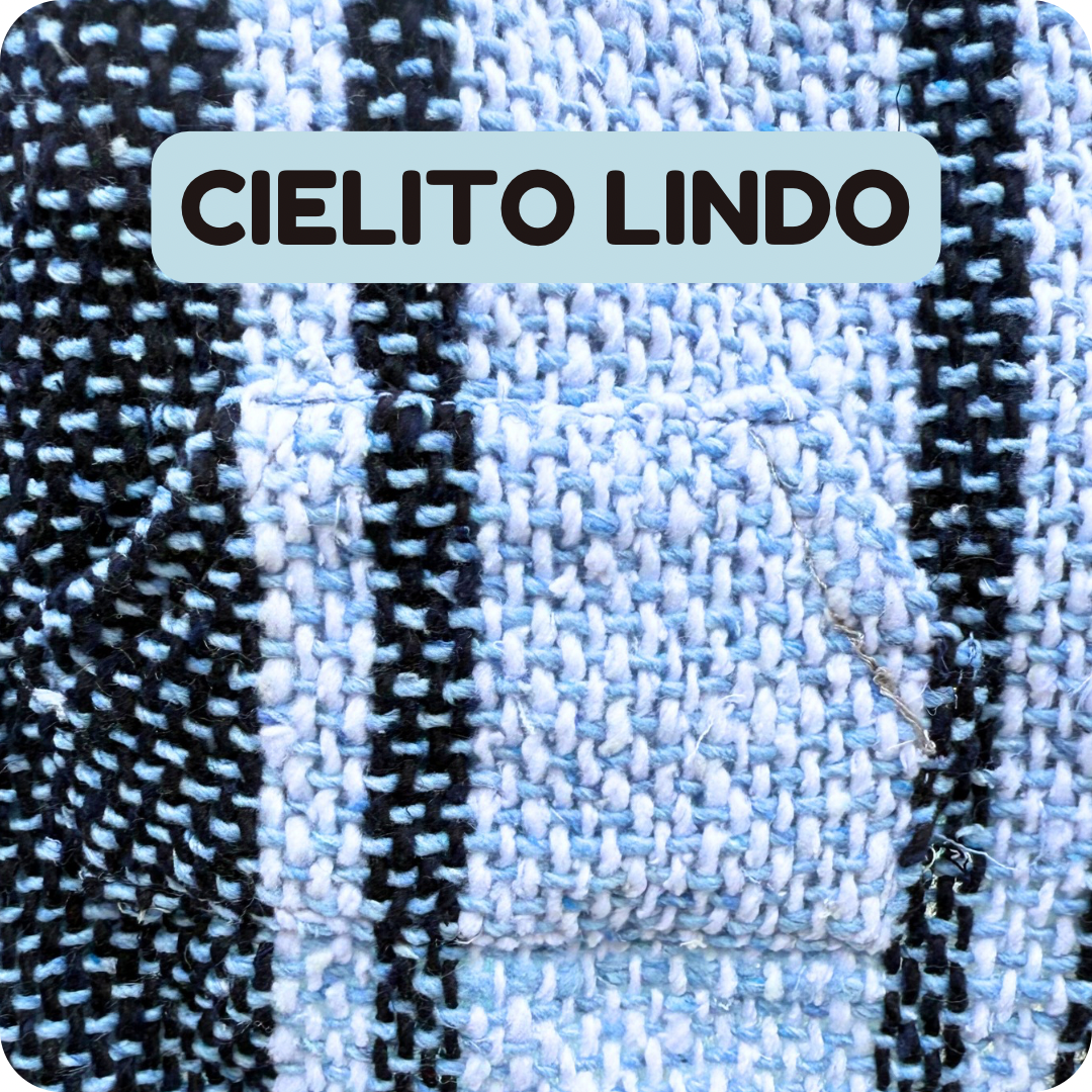 Cielito Lindo Dog + Cat Poncho