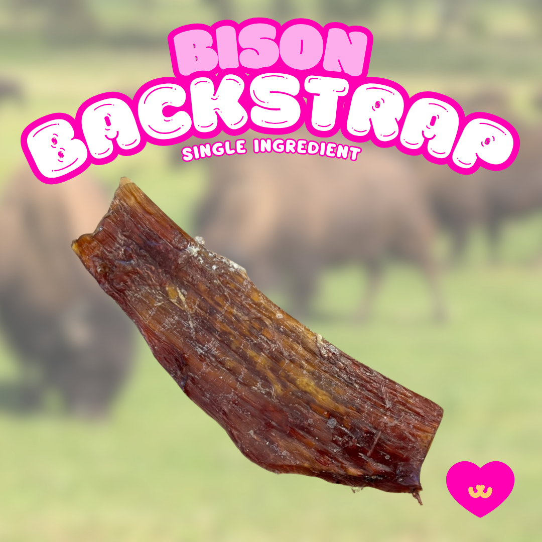 hypoallergenic bison dog treats for food-sensitive dogs bison ligament, bison blackstrap Owa Owa