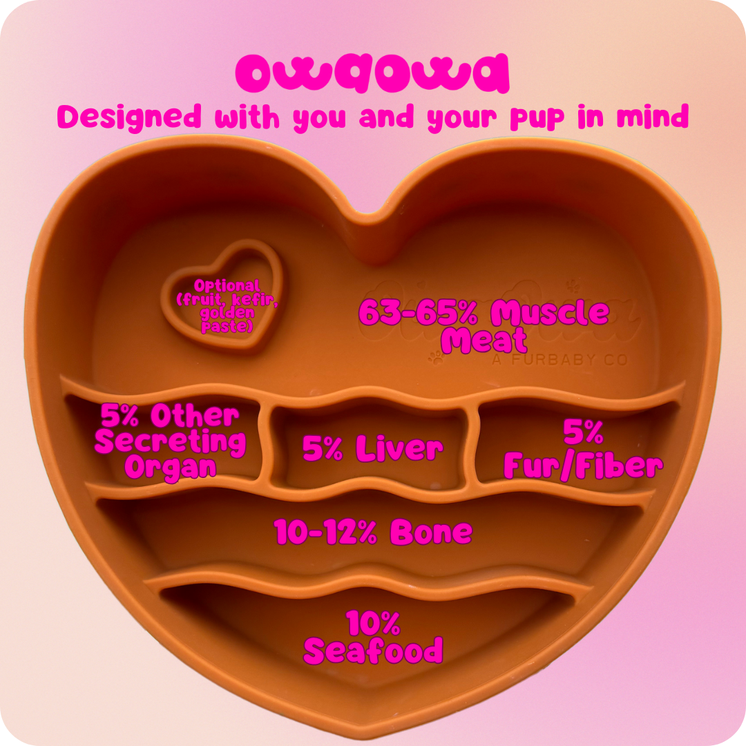 Owa Owa slow feeder – culturally inspired portioned dog bowl for raw and balanced feeding