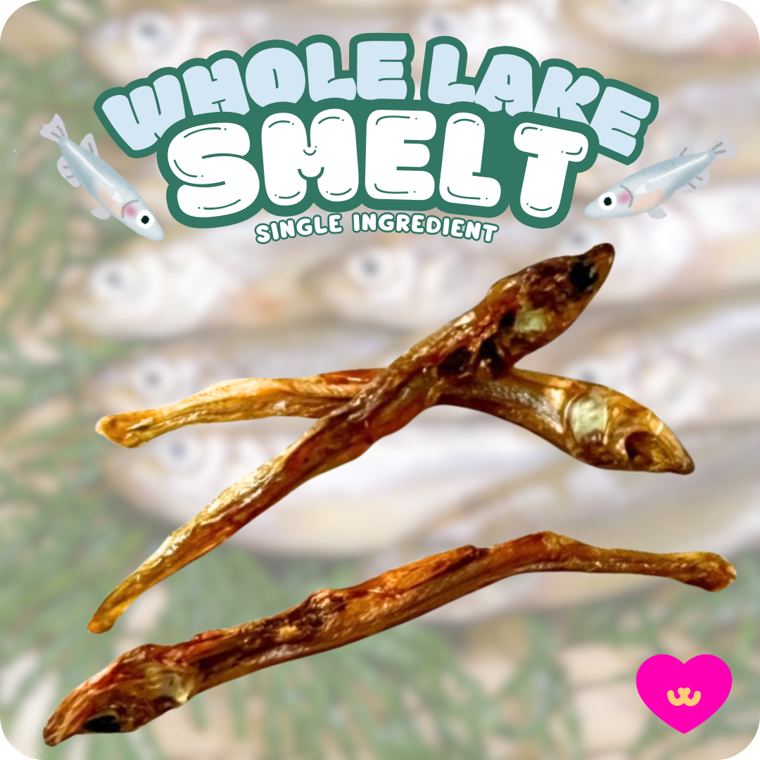 Whole Lake Smelt single-ingredient dog and cat treat packaging hero image. Features sustainably sourced small whole fish rich in Omega-3s for joints, skin, and overall health. Grain-free, preservative-free, hypoallergenic protein perfect for sensitive pets.
