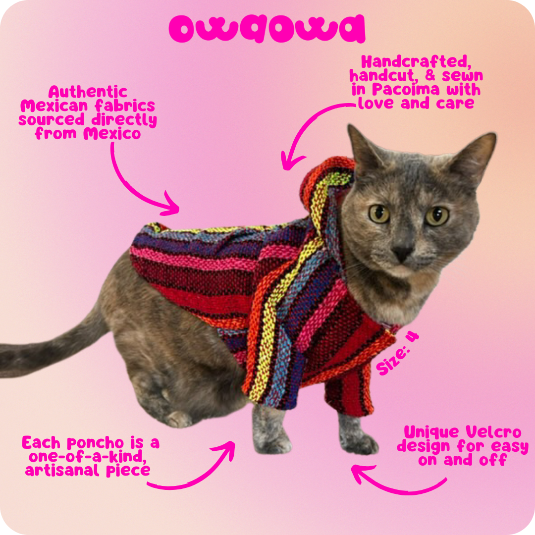 Arcoíris Dog Poncho