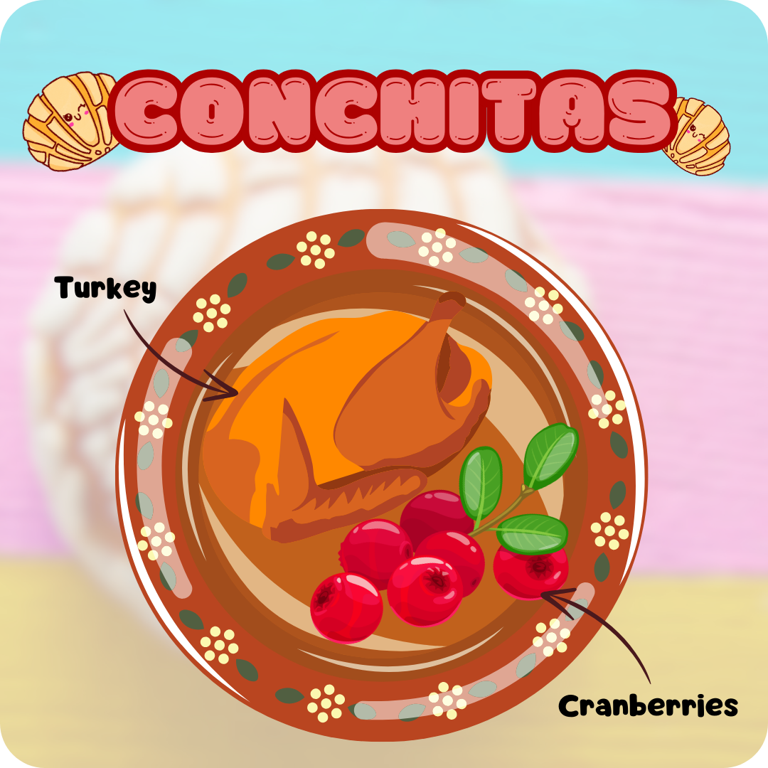 Owa Owa Conchitas, pawnaderia Turkey and cranberry treats snacks for dogs