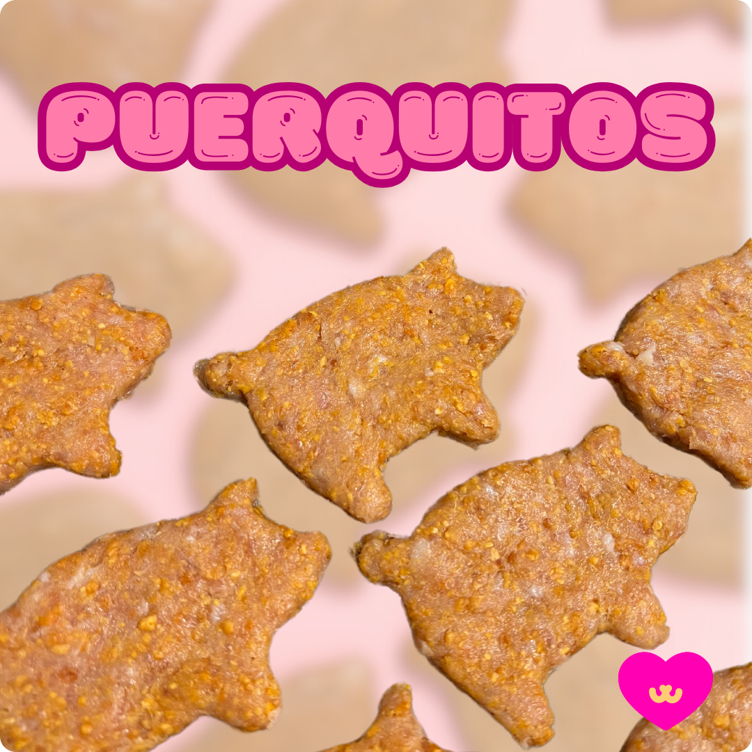 Close-up of Owa Owa Puerquitos pork and pumpkin dog treats shaped like cute pigs, supporting muscle and tummy health.