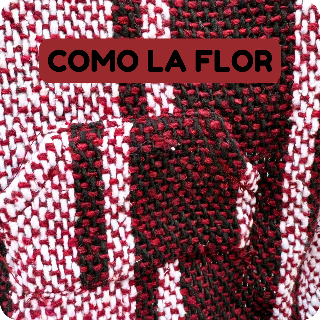 Como La Flor Dog + Cat Poncho