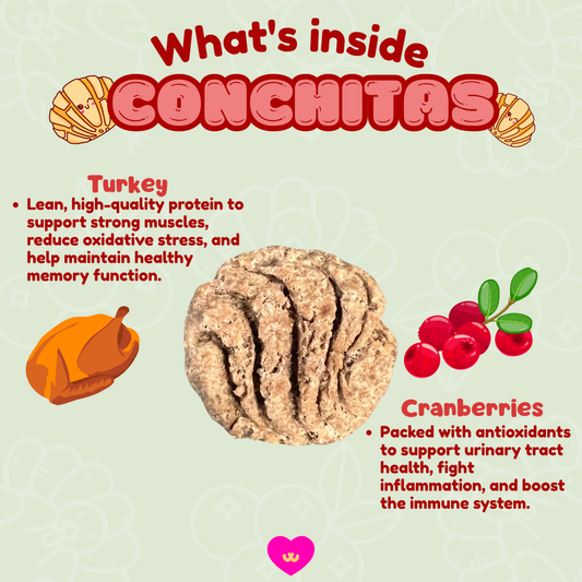 Illustrated ingredient benefits for Owa Owa Conchitas treats, highlighting turkey for muscle support and cranberries for immune boost and brain health.