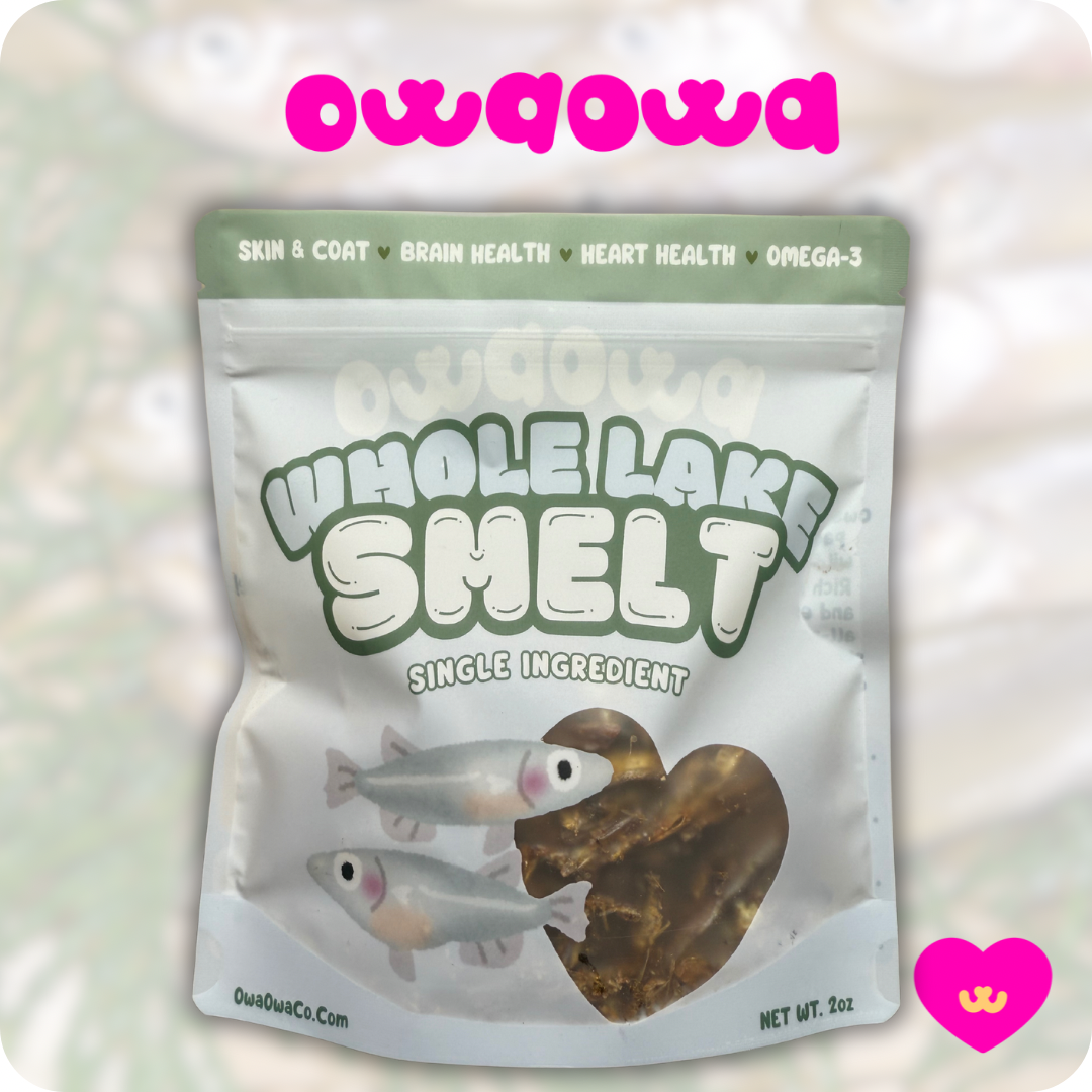 Owa Owa Whole Lake Smelt single-ingredient dog and cat treat packaging hero image. Features sustainably sourced small whole fish rich in Omega-3s for joints, skin, and overall health. Grain-free, preservative-free, hypoallergenic protein perfect for sensitive pets.