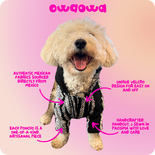 Noche De Fiesta Dog + Cat Poncho