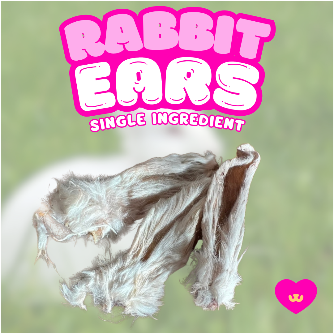 Owa Owa Rabbit Ears with Fur. Highlighted as a natural, single-ingredient chew that supports gut health, dental hygiene, and enrichment while being a hypoallergenic protein source.