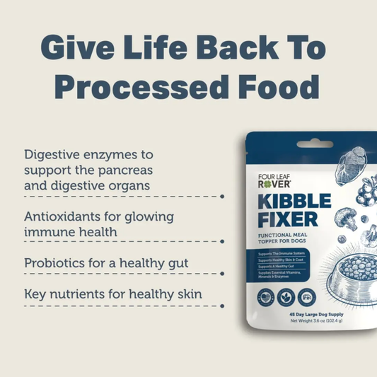 How Kibble Fixer improves processed dog food with enzymes, antioxidants, probiotics, and key nutrients on a light gray background.