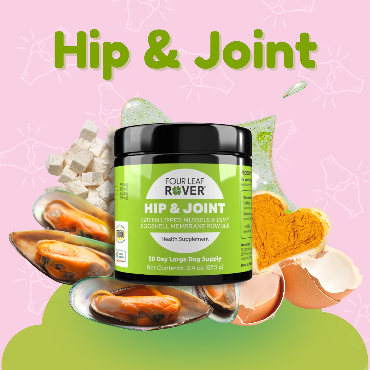 Hip & Joint