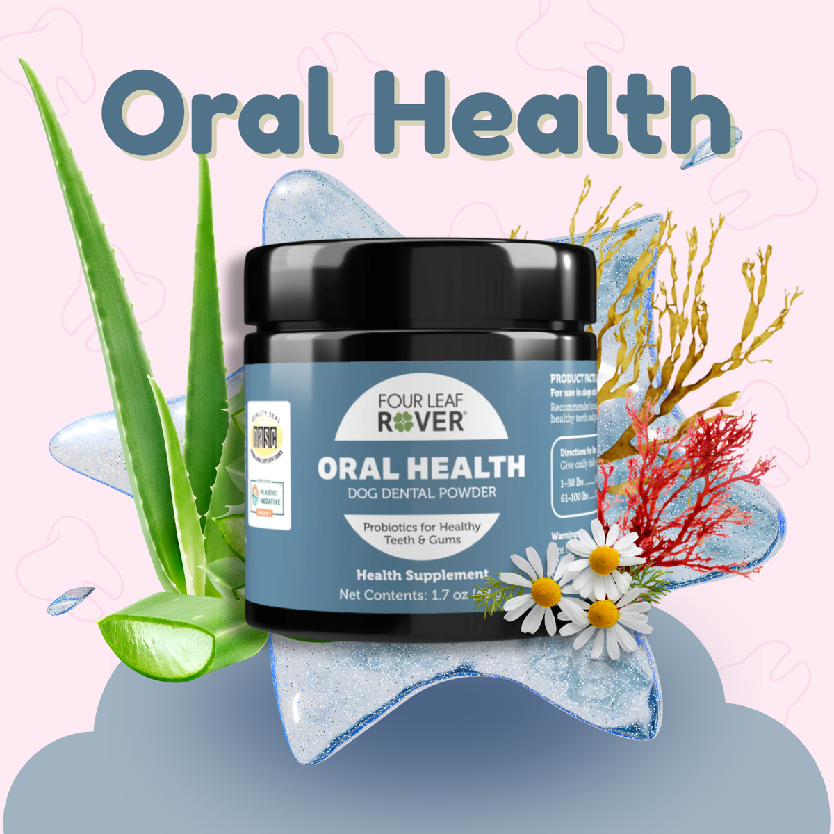 Oral Health