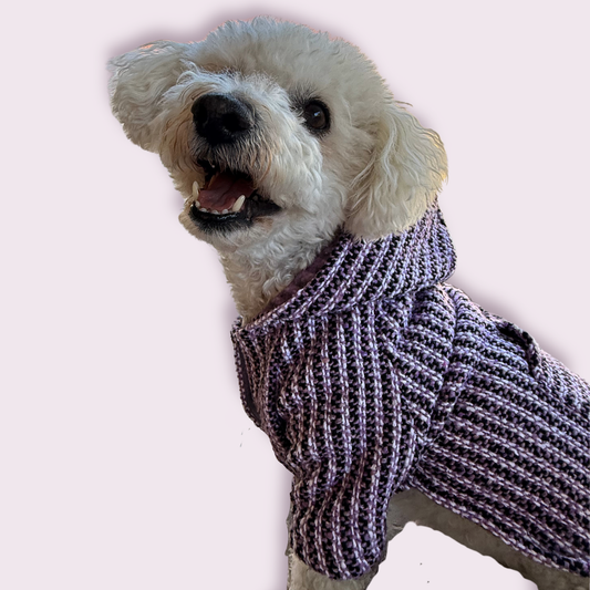 Lila Dog + Cat poncho