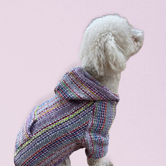 Dog wearing a colorful Owa Owa poncho sweater hoodie against a pink background