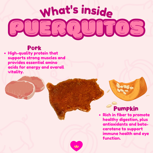 What's inside Owa Owa Puerquitos – pork for muscle support and protein, pumpkin for digestion and immune health, illustrated in playful pastel design.