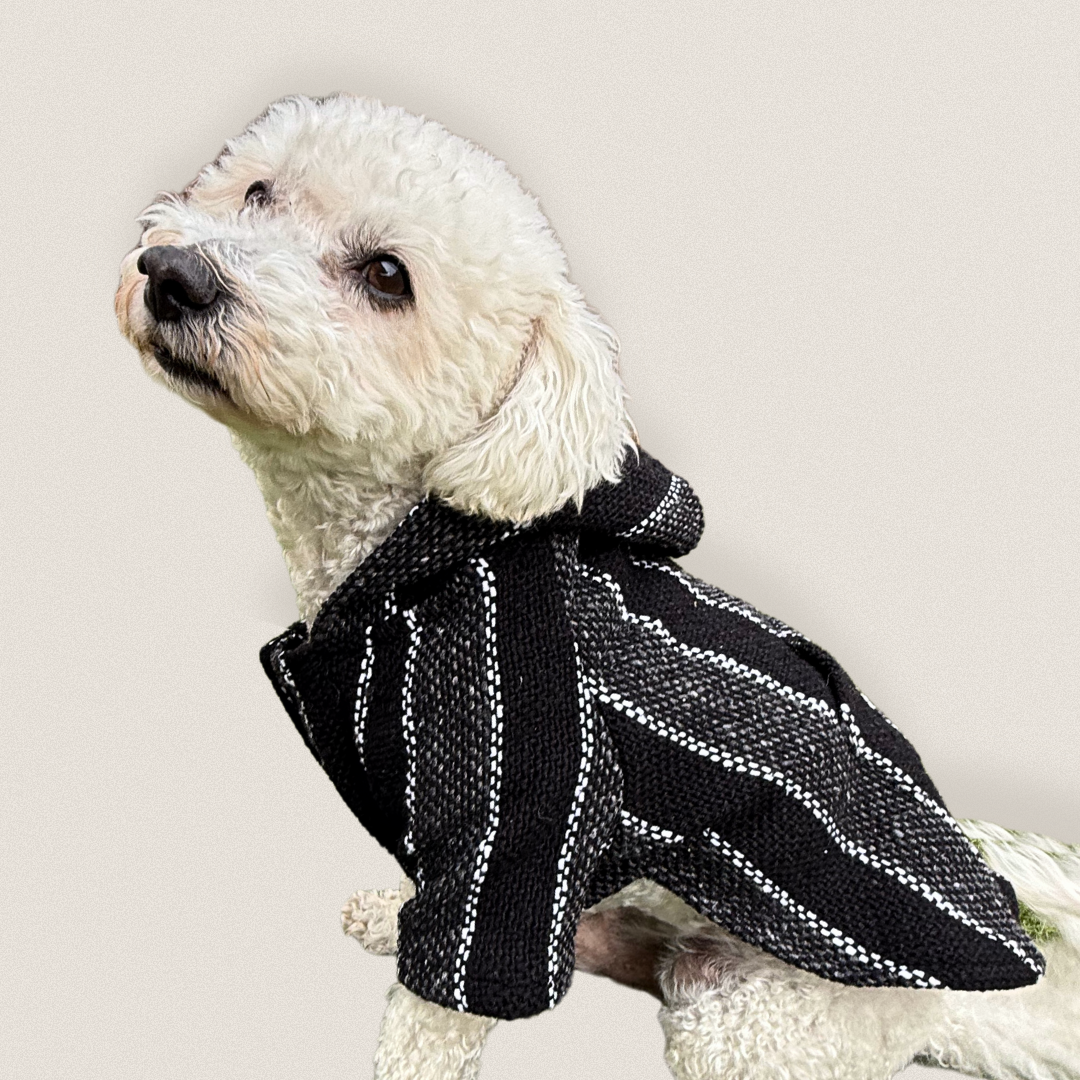 White dog wearing a black pinstripe Owa Owa Poncho sweater hoodie on a light gray background