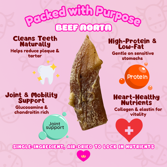 Owa Owa Beef Aorta single-ingredient dog chew benefits graphic showing key features: supports joint health with glucosamine and chondroitin, heart-healthy nutrients, cleans teeth naturally, high-protein and low-fat.