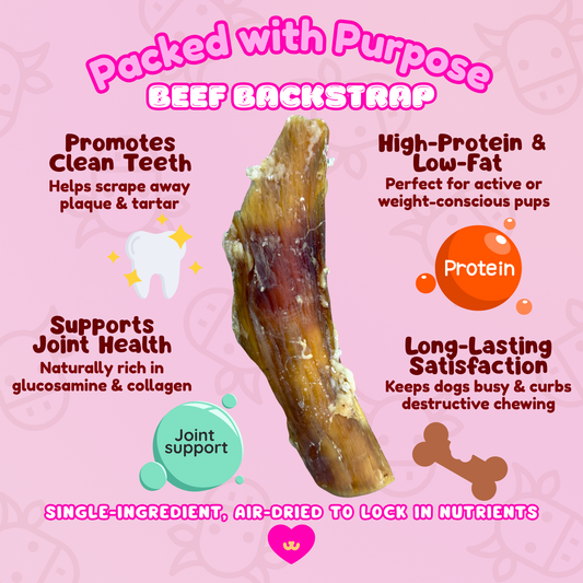 Owa Owa Beef Backstrap single-ingredient dog chew with benefits highlighted: promotes clean teeth, supports joint health with glucosamine and collagen, high-protein and low-fat, long-lasting chewing satisfaction.
