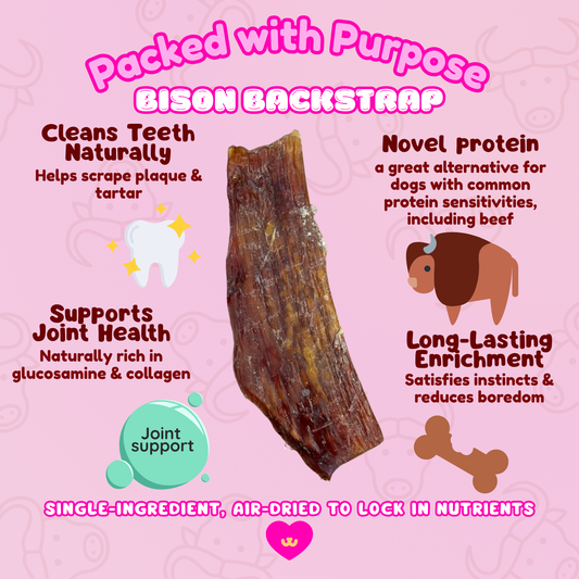 Owa Owa Bison Backstrap dog chew benefits graphic highlighting key features: supports joint health, cleans teeth naturally, long-lasting enrichment, and hypoallergenic novel protein for sensitive dogs.