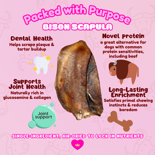 Owa Owa Bison Scapula dog chew benefits graphic showing joint and mobility support from collagen and cartilage, dental health from chewing, long-lasting enrichment, and novel protein for sensitive dogs.