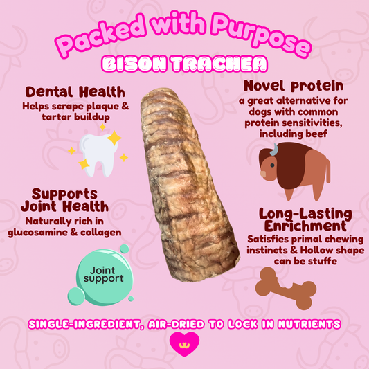 Owa Owa Bison Trachea dog chew benefits graphic highlighting dental health, joint support with glucosamine and chondroitin, customizable enrichment with stuffable hollow shape, and beef-free novel protein for sensitive dogs.