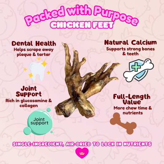 Benefits of Owa Owa Nail-Free Whole Chicken Feet for dogs and cats – supports joint health with glucosamine and chondroitin, promotes dental hygiene by scraping plaque, provides natural calcium from bone for strong teeth and bones, and is fully digestible for sensitive stomachs.