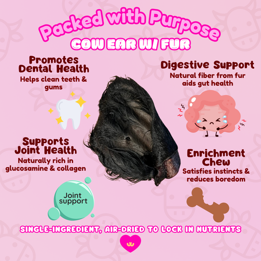 Owa Owa Cow Ear with Fur single-ingredient dog chew benefits graphic showing key features: promotes dental health, provides natural fiber for digestive support, supports joint health, and offers mental enrichment.