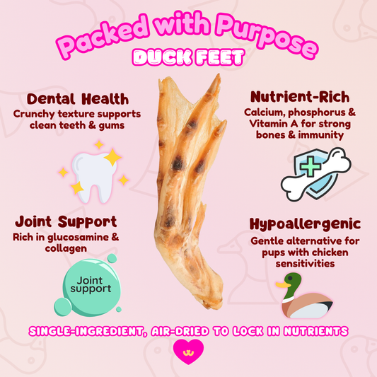 Benefits card for Owa Owa Duck Feet dog chew showing dental health, joint support, hypoallergenic alternative, and nutrient-rich source of calcium and vitamins.