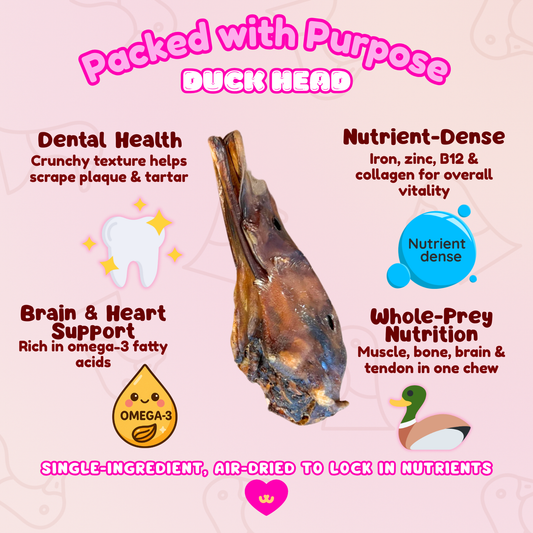 Graphic showing Owa Owa Duck Heads benefits: whole-prey nutrition with muscle, bone, brain, and tendon; omega-3s for brain and heart health; crunchy texture for dental hygiene; packed with collagen, iron, zinc, and B12.