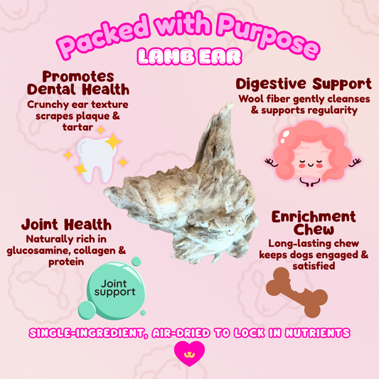 Benefits of Owa Owa Lamb Ear with Wool dog chew – supports dental health, digestive support with natural wool fiber, joint and skin benefits from collagen, and long-lasting enrichment. Single-ingredient, air-dried, natural treat.