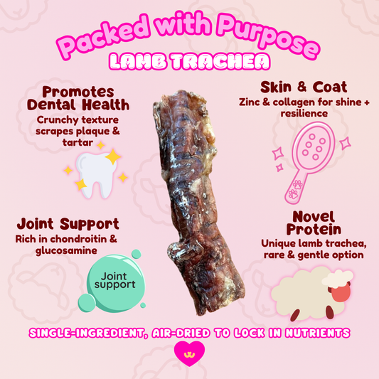 Owa Owa Benefits of Lamb Trachea chew for dogs – joint support with glucosamine and chondroitin, dental cleaning through natural crunch, zinc and collagen for skin and coat health, and novel protein as a unique, gentle option. Single-ingredient, air-dried chew.