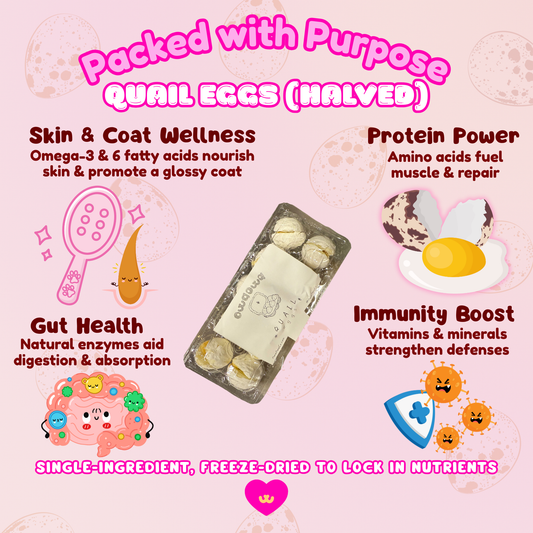 Owa Owa Freeze-Dried Quail Eggs – four illustrated icons: 🥚 protein power, 💪 immunity boost, 🐾 digestive health, ✨ shiny coat. Pastel Owa Owa kawaii style with sparkles and clean layout, labeled ‘✨ Packed With Purpose ✨’ at the top.